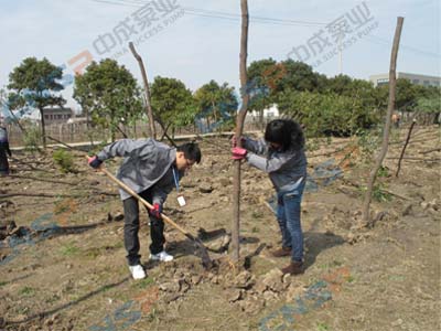 2012.3.12中成泵業(yè)植樹(shù)節活動(dòng)報道